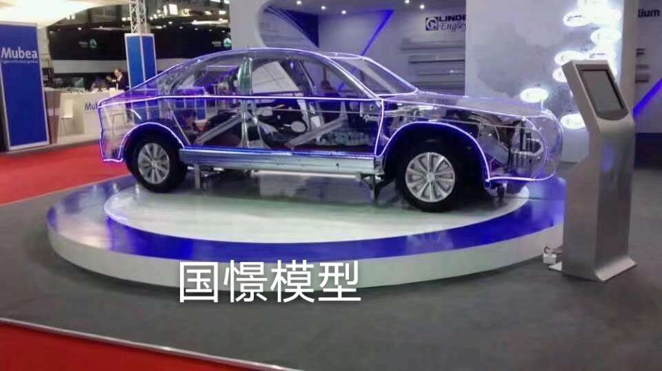 化隆透明车模型